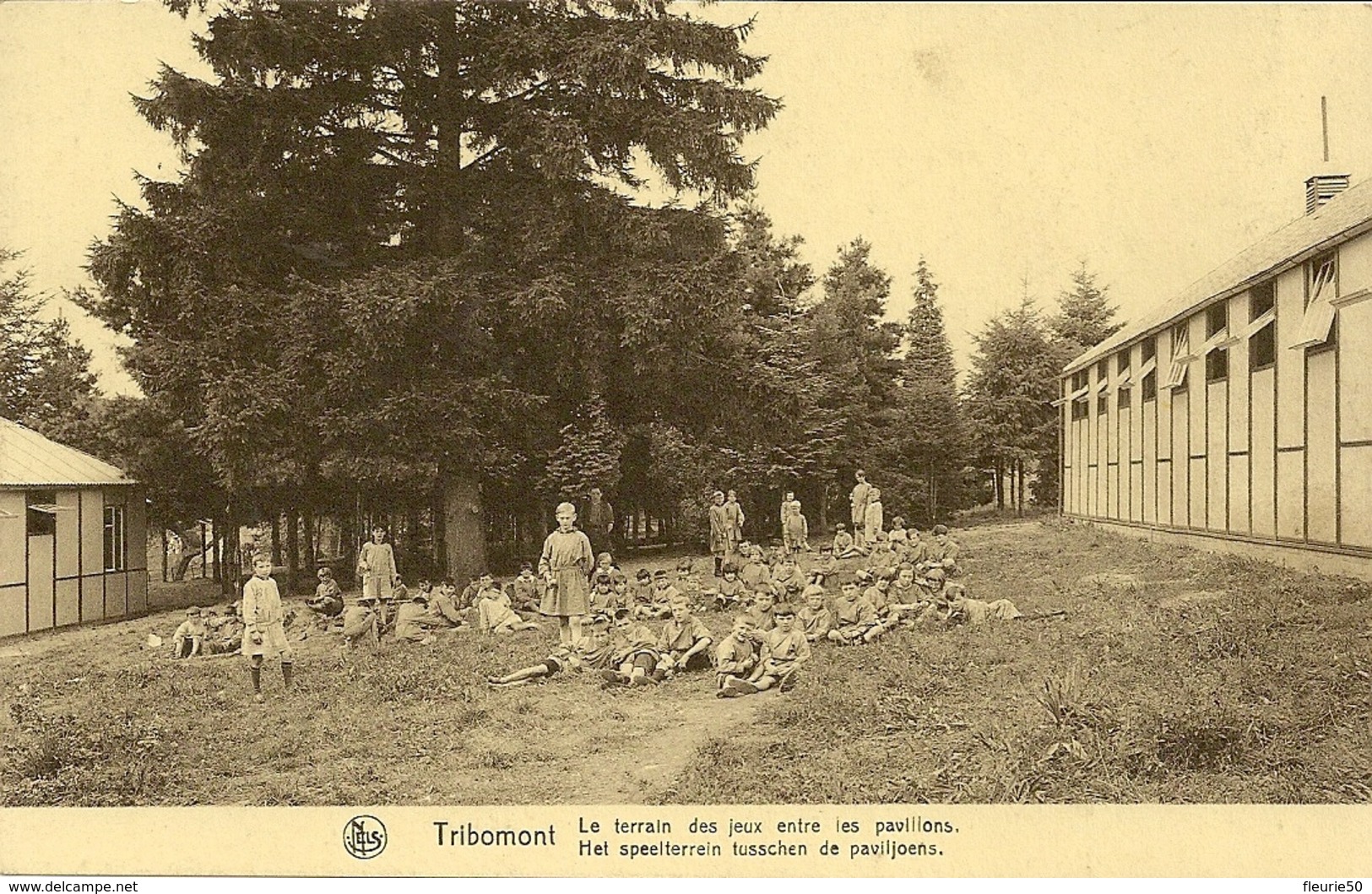 TRIBOMONT (Herve; Verviers; Pépinster)Domaine De L'Union Nationale Des Fédérations De Mutualités Socialistes De Belgique - Herve