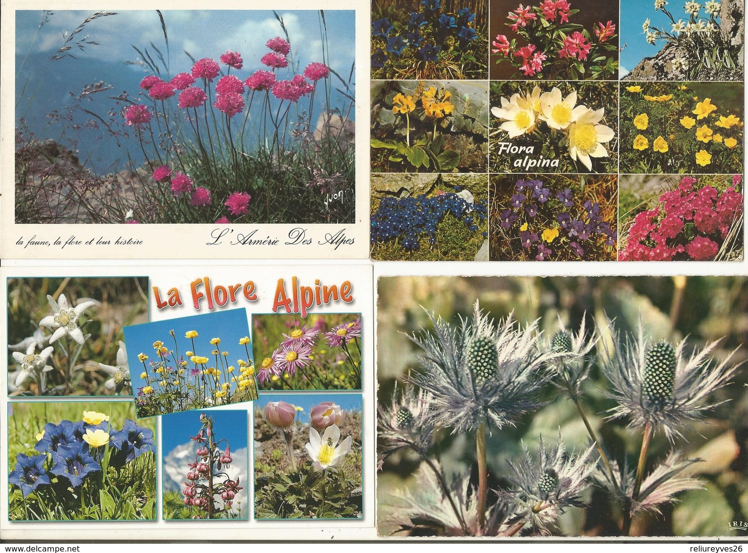 CPSM et CPM, Th. Fleurs Lot de 50 Cartes Semi-Modernes et Modernes , Fleurs 1950 - 1990