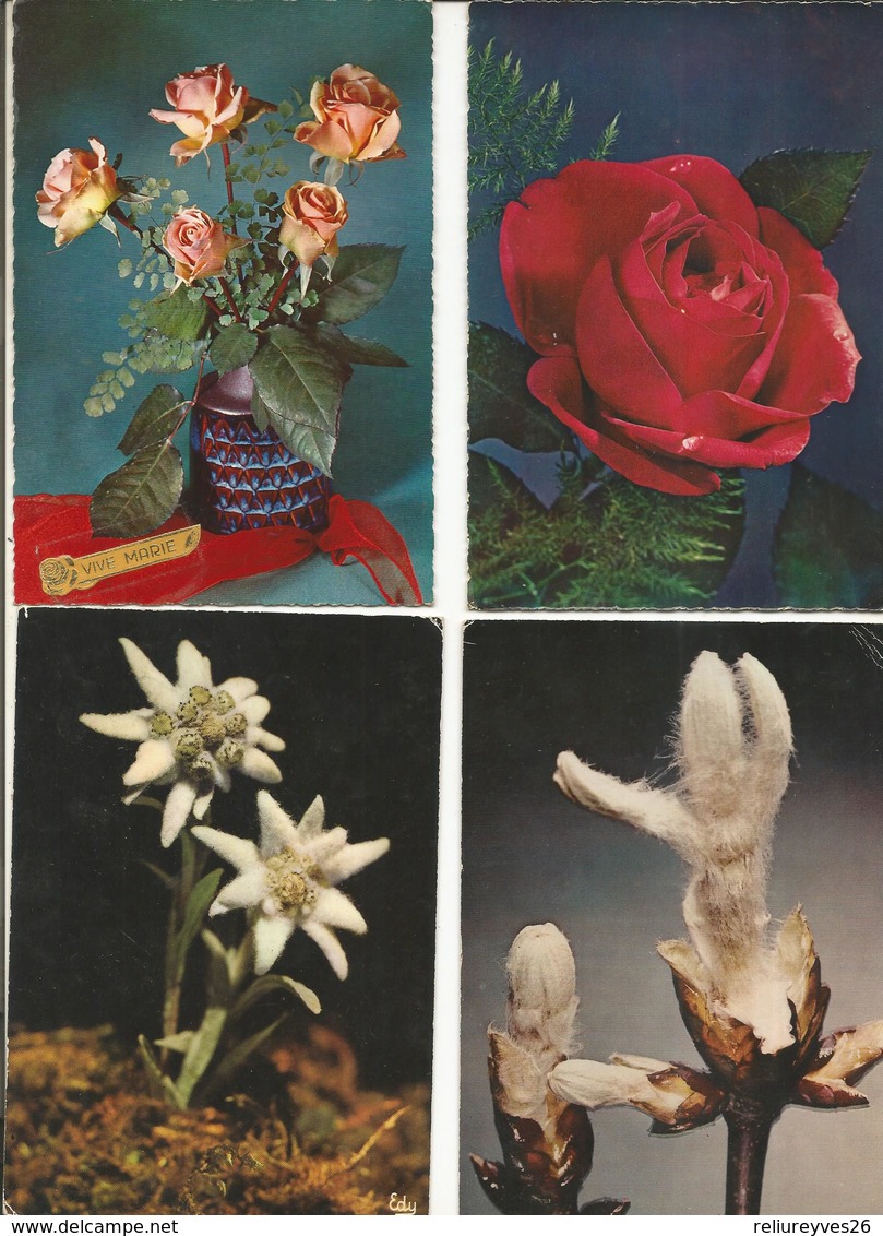 CPSM et CPM, Th. Fleurs Lot de 50 Cartes Semi-Modernes et Modernes , Fleurs 1950 - 1990