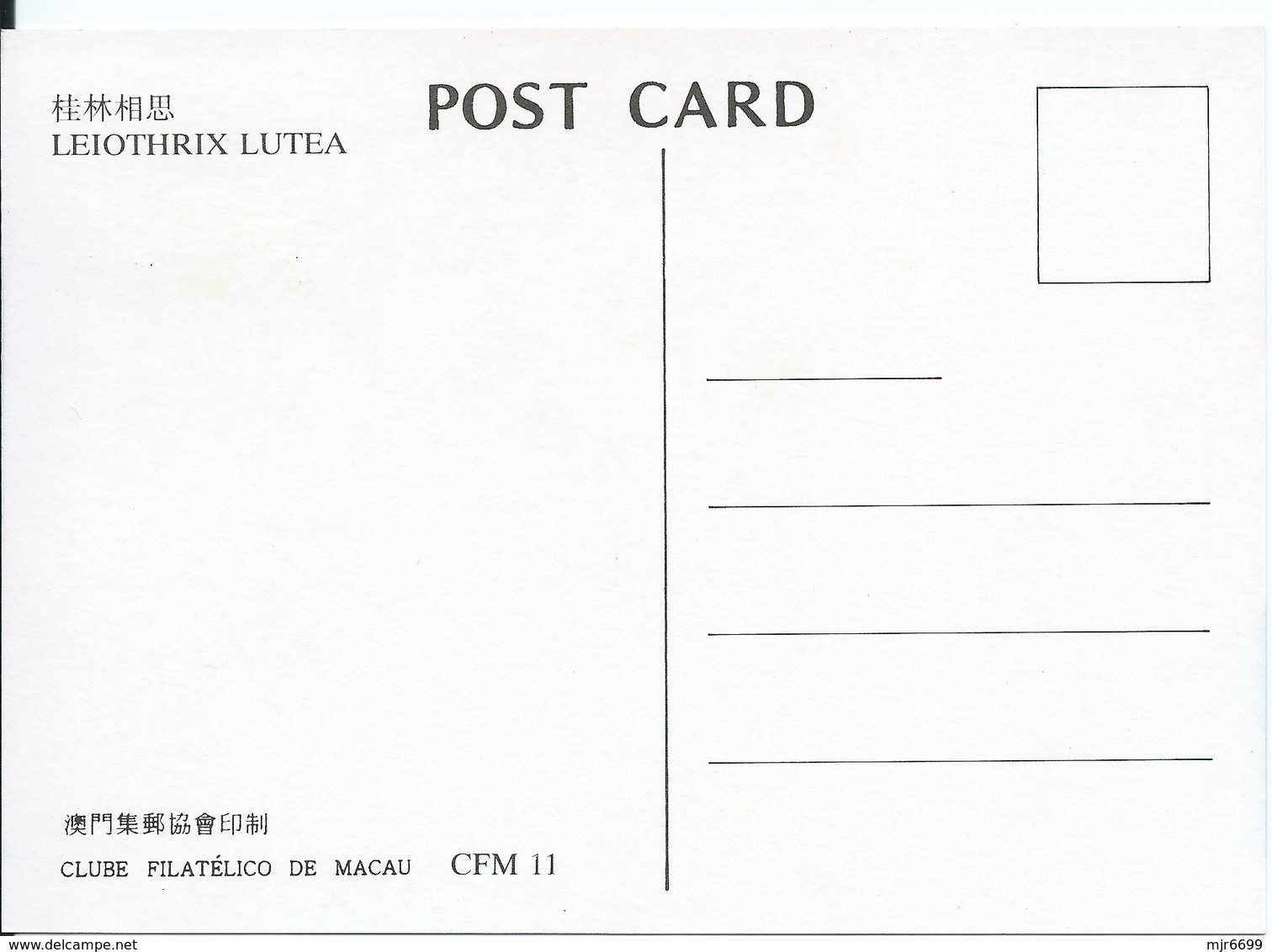 MACAU 1995 BIRDS MAXIMUM CARD - LEIOTHRIX LUTEA - Tarjetas – Máxima