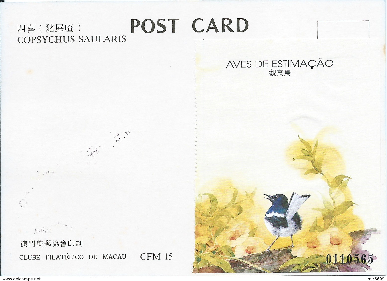 MACAU 1995 BIRDS MAXIMUM CARD - COPSYCHUS SAULARIS - Tarjetas – Máxima