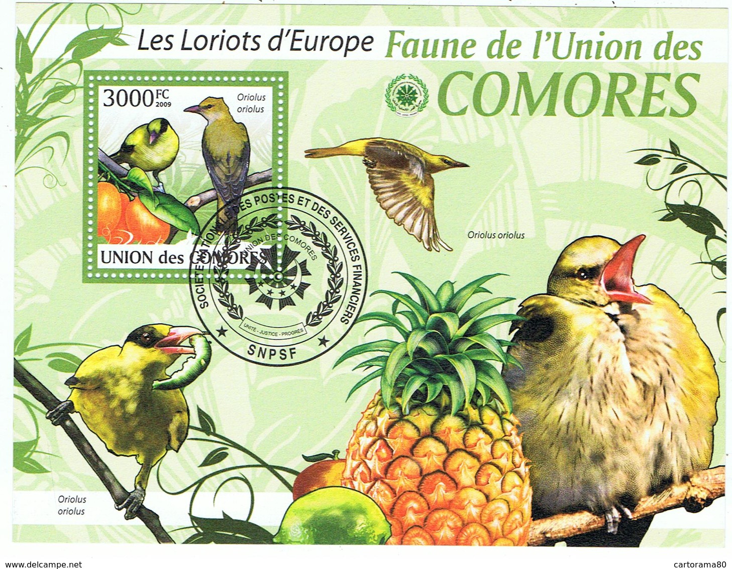 Loriot / Loriots / BF Oblitéré / Union Des Comores - Songbirds & Tree Dwellers