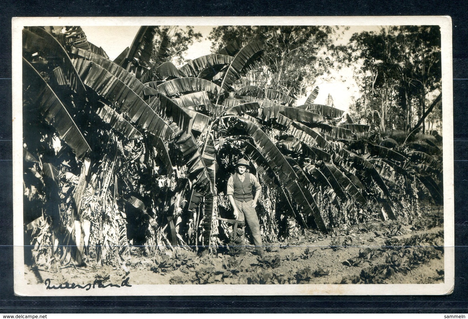 5648- AUSTRALIEN / TASMANIEN - Mi.18 Auf Postkarte Von Hobart Nach Manchester - Covers & Documents