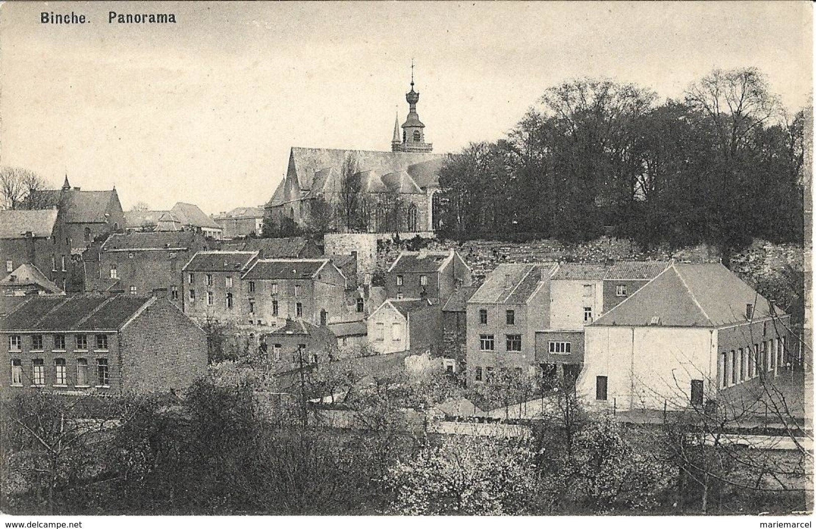 BELGIQUE -  BINCHE - PANORAMA - Eglise En Arrière Plan - Binche