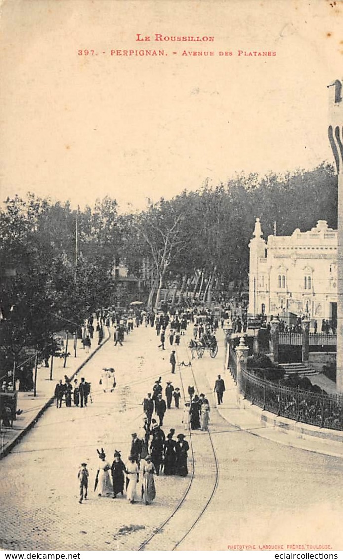 Perpignan       66        Avenue Des Platanes          (voir Scan) - Perpignan