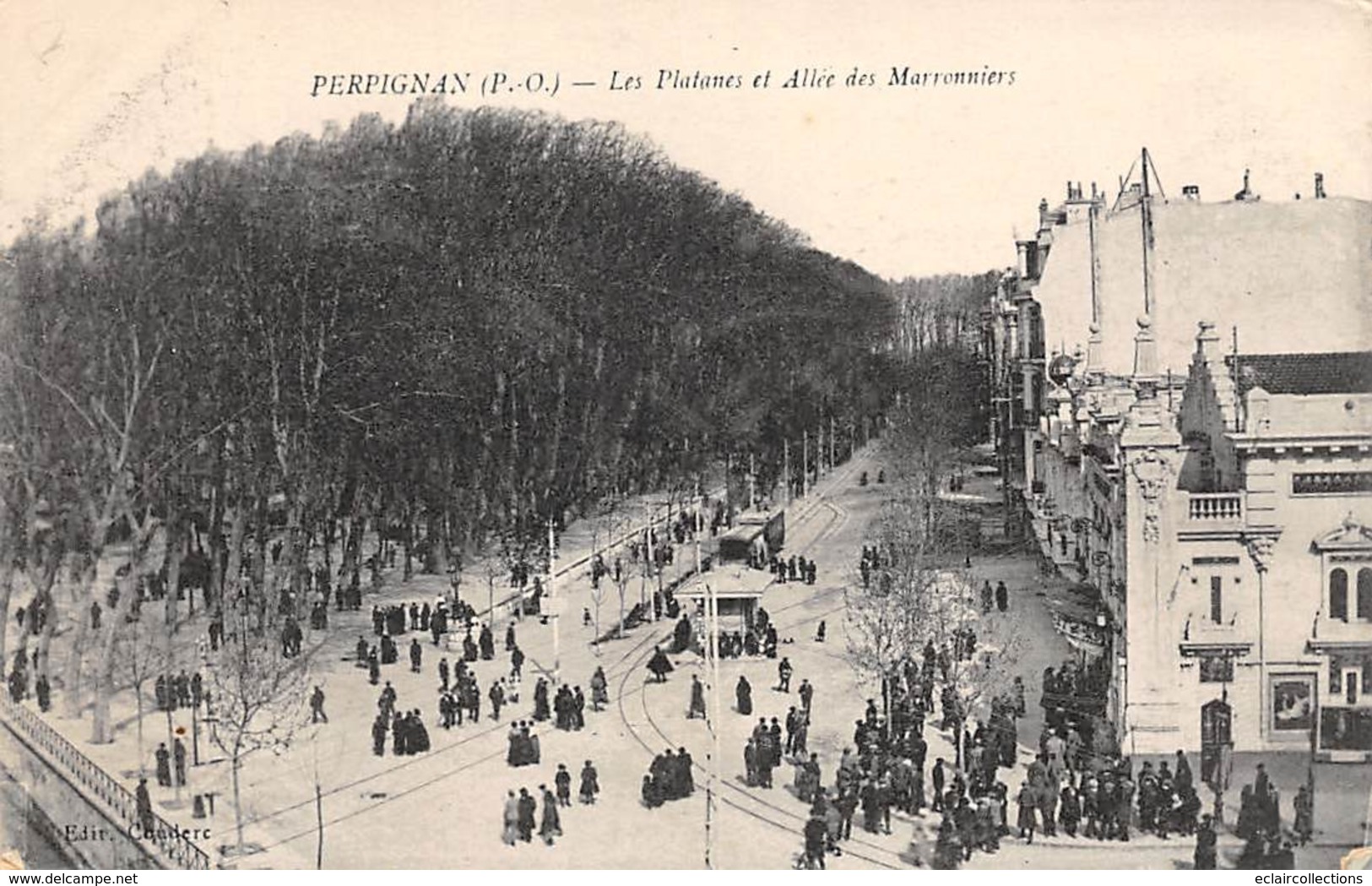 Perpignan       66         Les Platanes Et Allée Des Marronniers             (voir Scan) - Perpignan