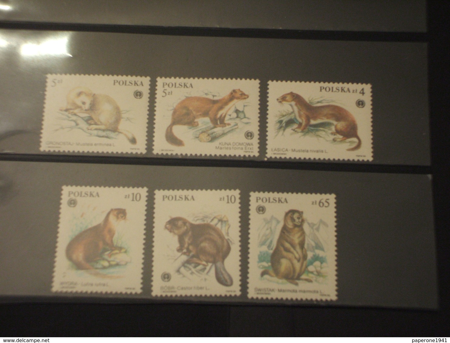 POLONIA - 1984 FAUNA 6 VALORI - NUOVI(++) - Unused Stamps