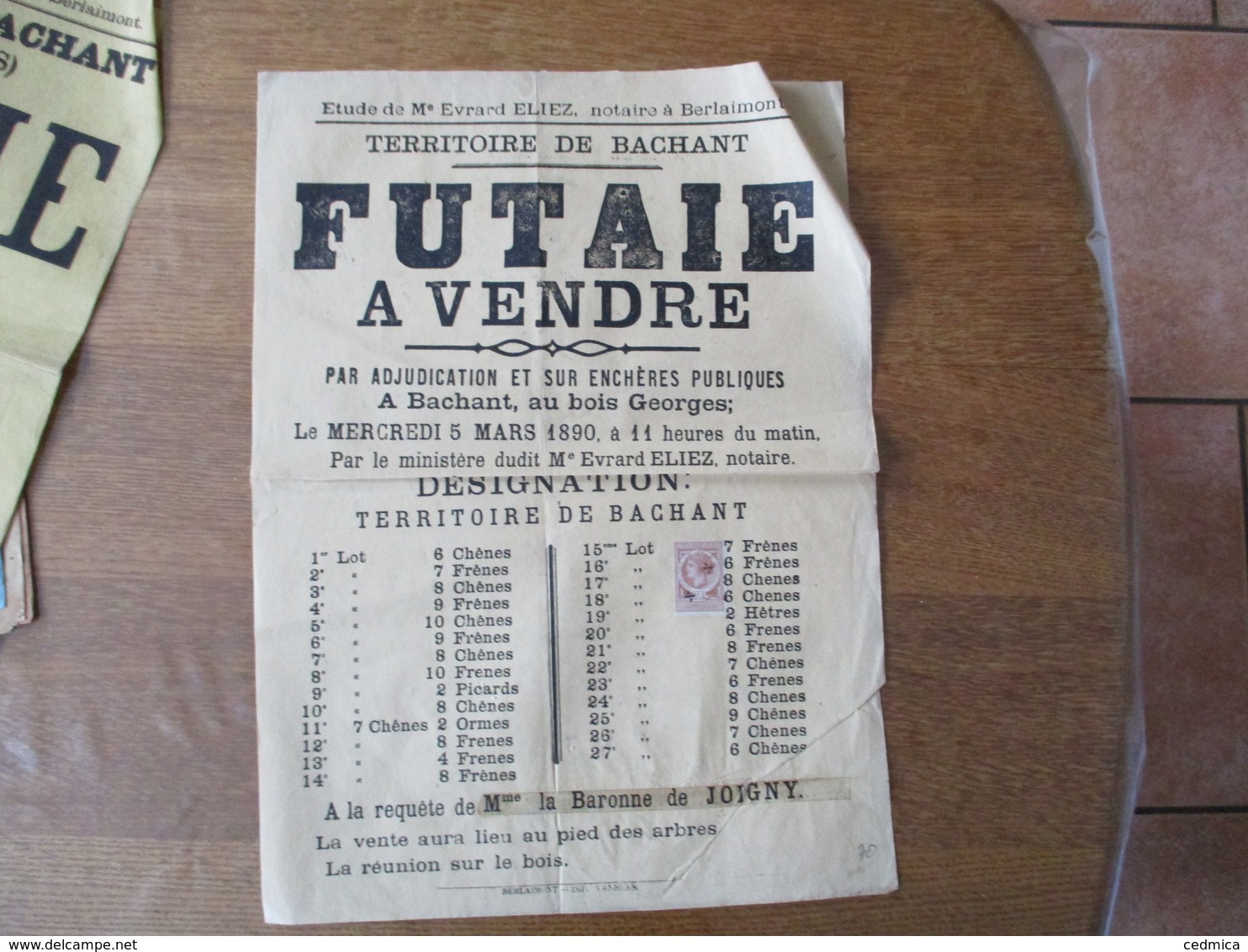 BACHANT LE 5 MARS 1890 FUTAIE A VENDRE AU BOIS GEORGES A LA REQUÊTE DE Mme LA BARONNE DE JOIGNY 43cm/31cm TIMBRE FISCAL - Plakate