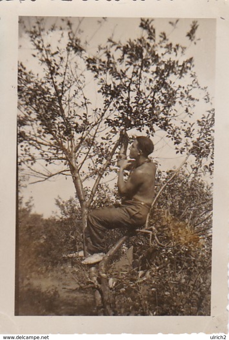 Foto Deutscher Soldat Halbnackt Auf Einem Kirschbaum - Lager Von Tscherkaskoje - Russland - 1943 - 8*5cm (46865) - Krieg, Militär