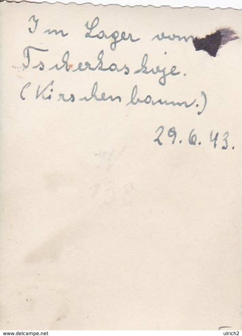 Foto Deutscher Soldat Halbnackt Auf Einem Kirschbaum - Lager Von Tscherkaskoje - Russland - 1943 - 8*5cm (46865) - Krieg, Militär