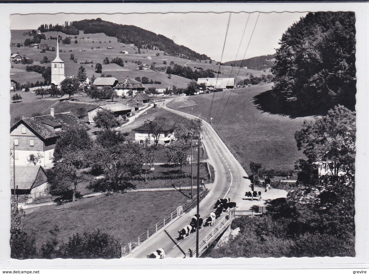 La Roche, Troupeau De Vaches Venant De La Route De Montsofloz. Format 10 X 15 - La Roche