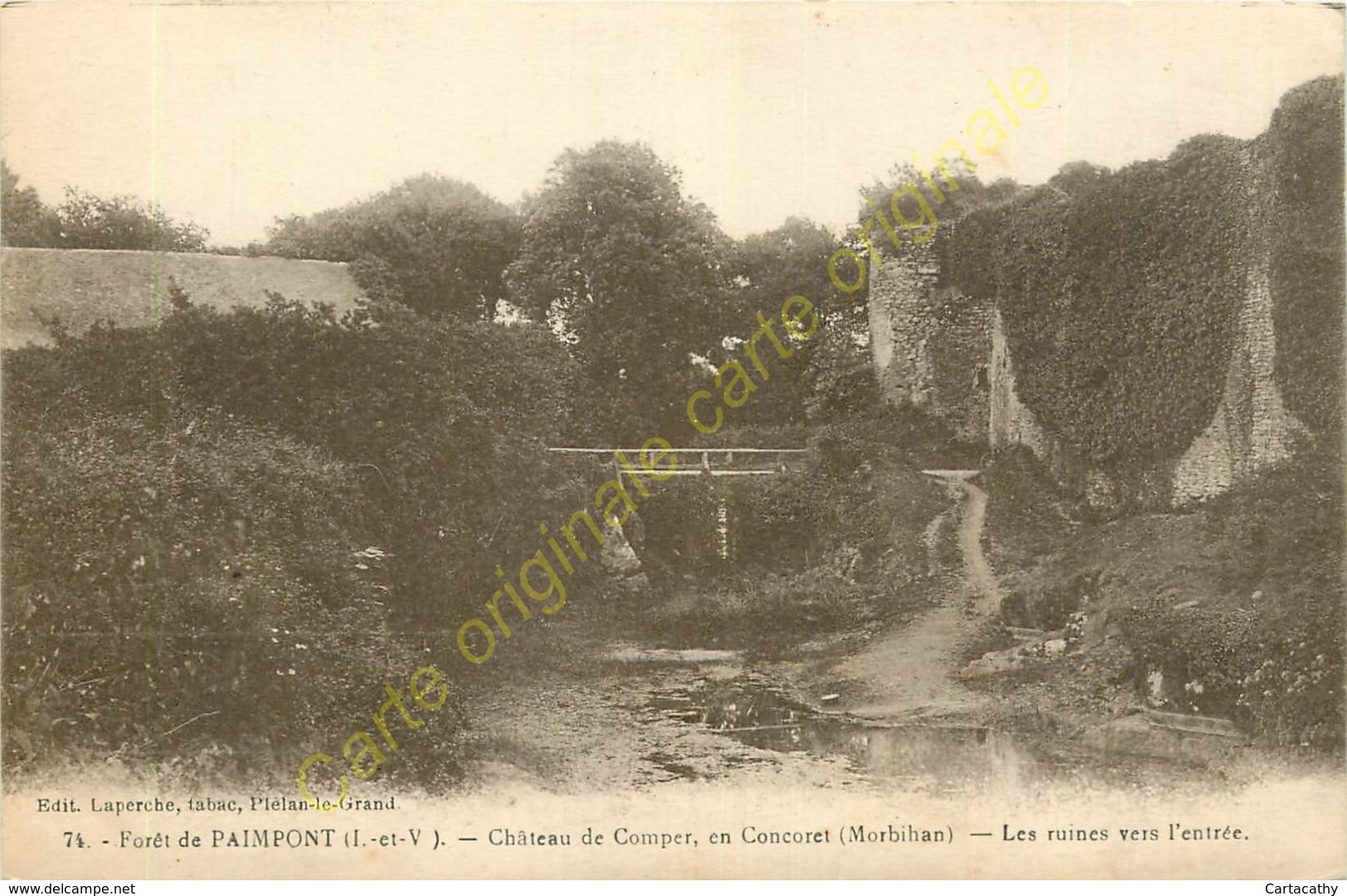 35.  PAIMPONT . Château De Comper , En Concoret . Les Ruines Vers L'entrée . - Paimpont