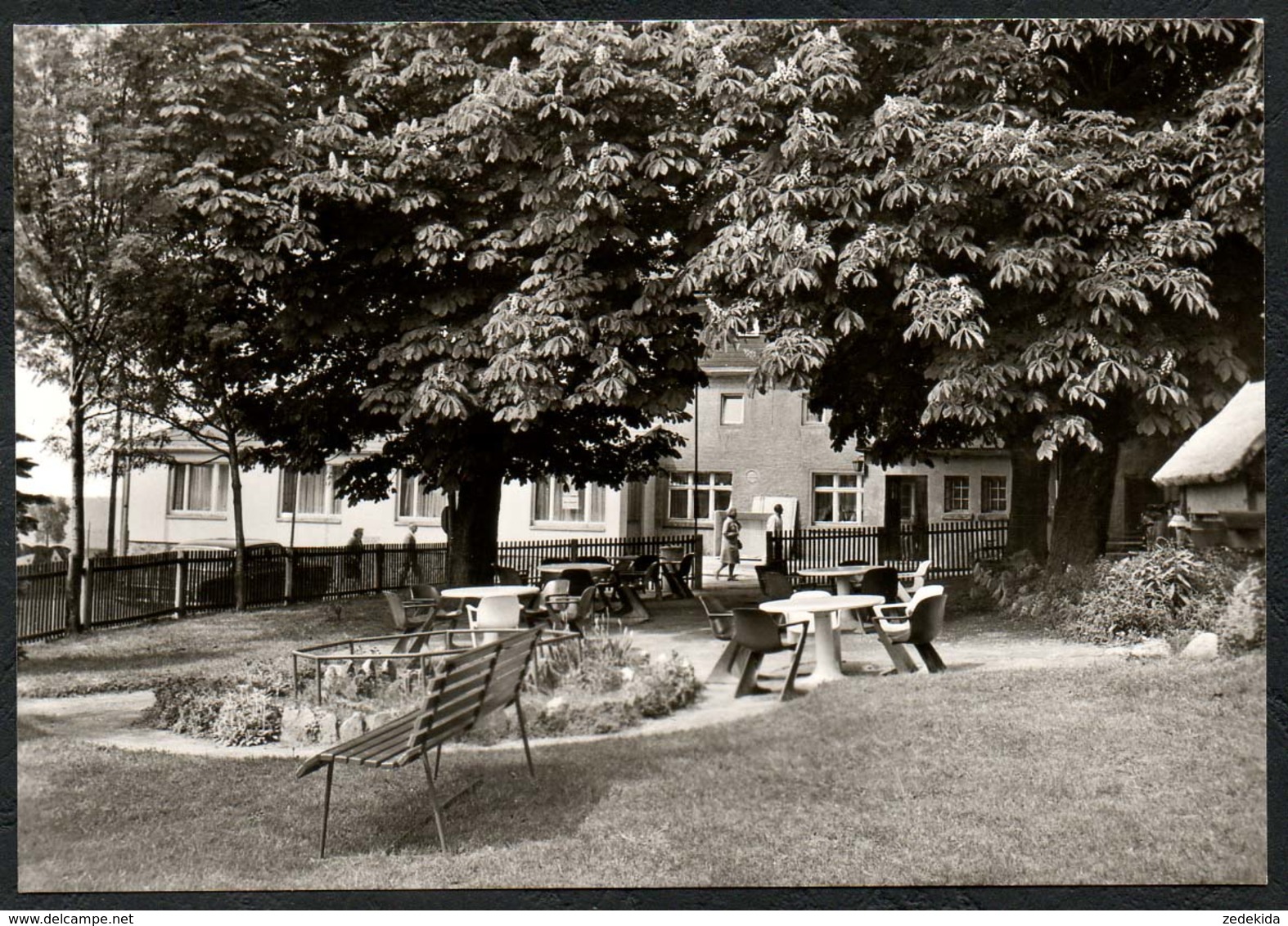 D3182 - TOP Holzhau Fischerbaude Kaffegarten Gaststätte - Bild Und Heimat Reichenbach - Holzhau