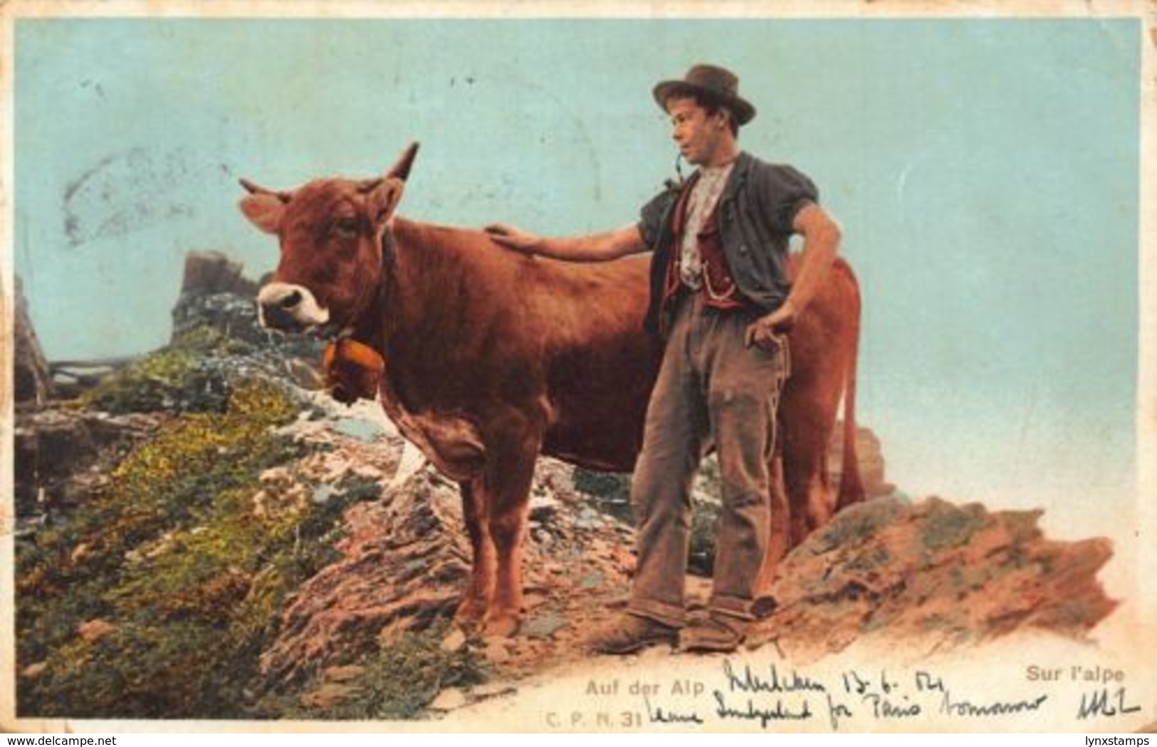 Switzerland Sur L'Alpe Auf Der Alp Cattle Cow Mountain Postcard - Autres & Non Classés