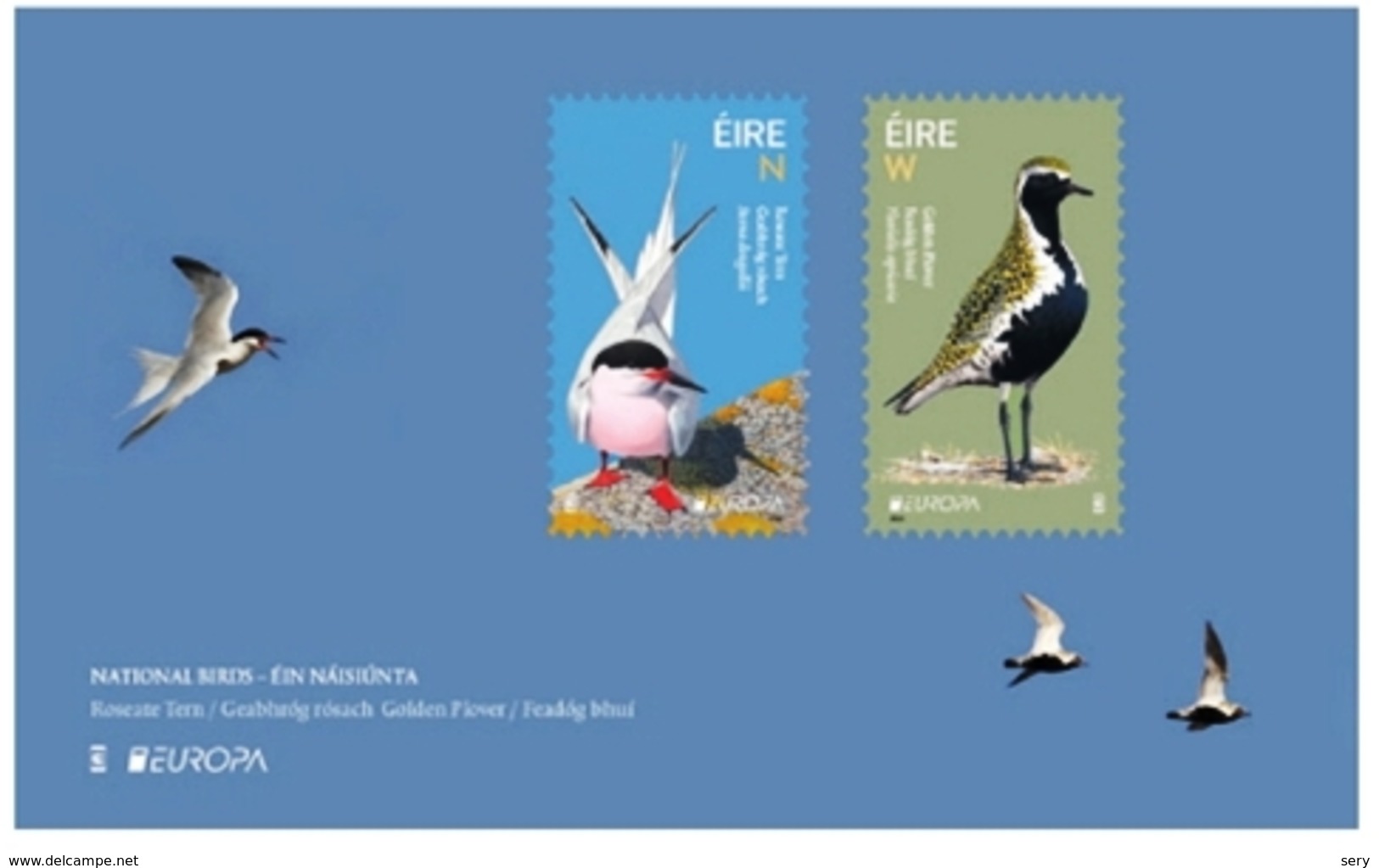 Ireland 2019 MS MNH EUROPA National Birds Fauna Bird Oiseaux Oiseau Roseate Tern  European Golden Plover - Altri & Non Classificati