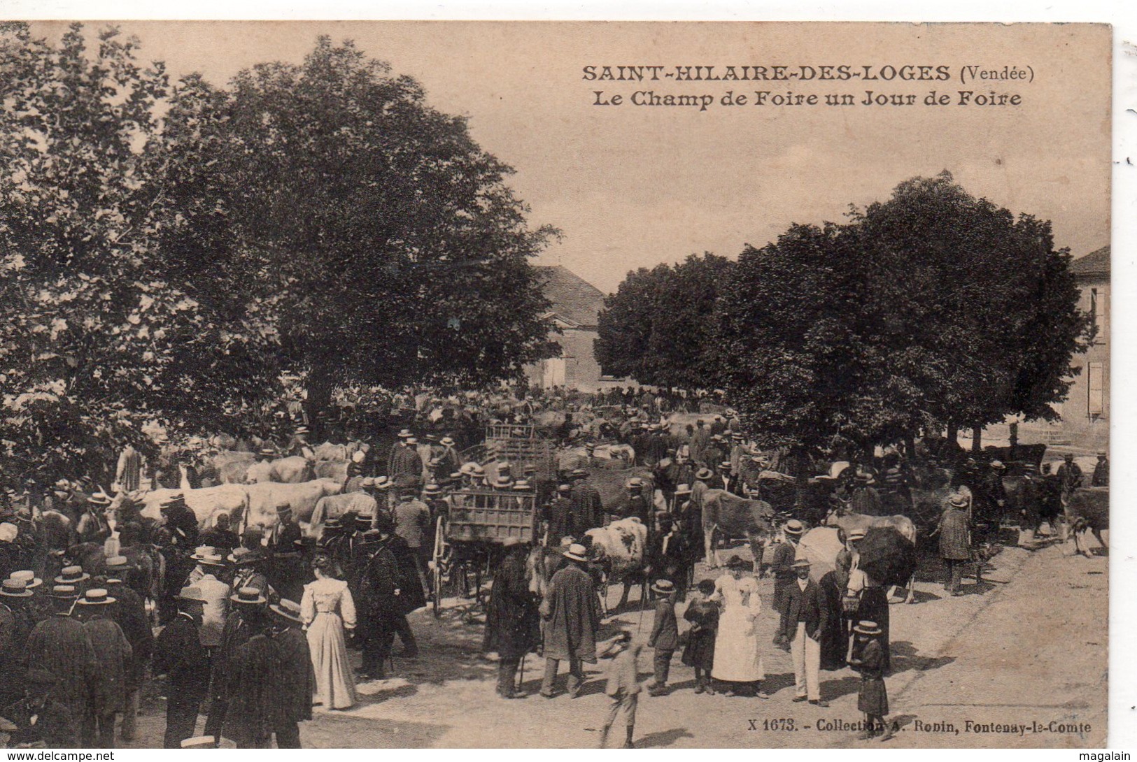 St Hilaire Des Loges : Le Champ De Foire, Un Jour De Foire - Saint Hilaire Des Loges