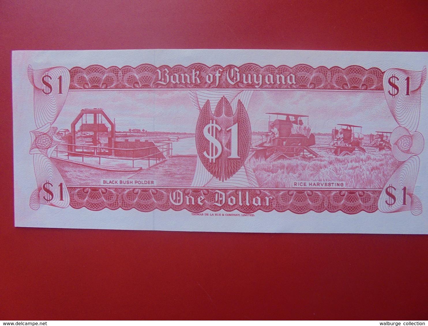 GUYANE 1$ 1966-1992 PEU CIRCULER (B.5) - Guyana