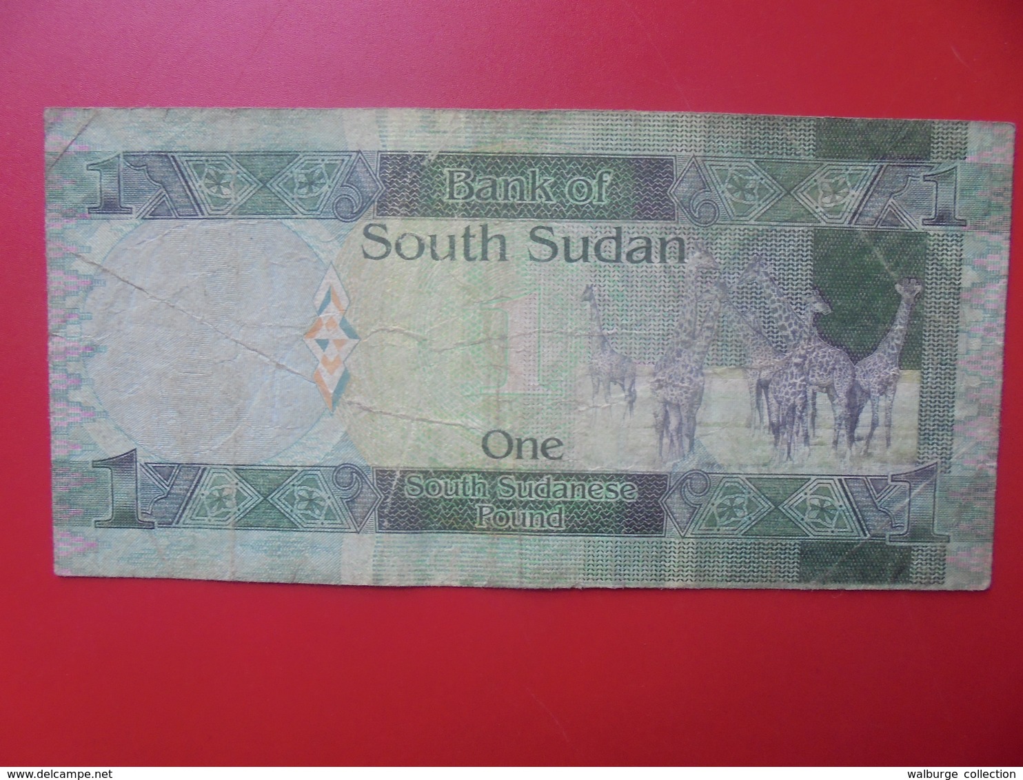 SOUDAN(SUD) ONE POUND 2011 CIRCULER (B.5) - South Sudan