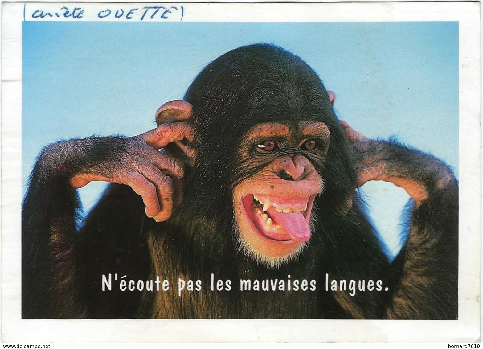 Animaux   Singe  N'ecoute Pas Les Mauvaises Langues - Monos