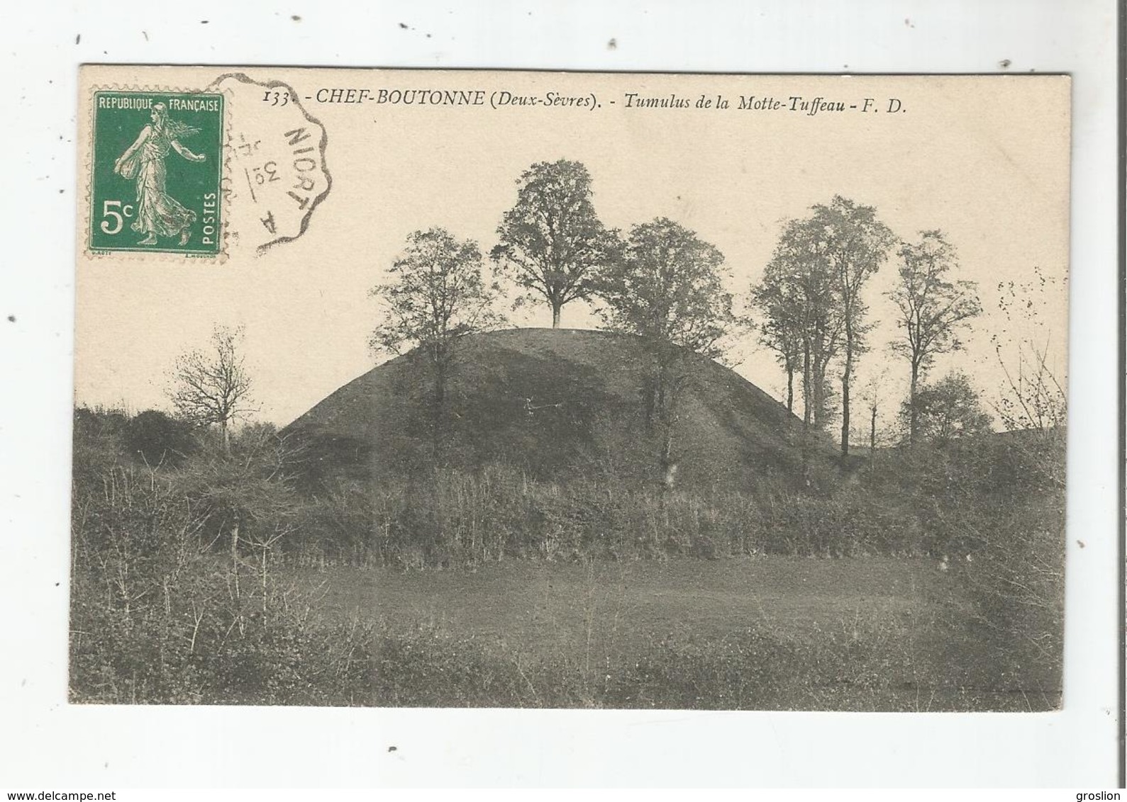 CHEF BOUTONNE (DEUX SEVRES) 133 TUMULUS DE LA MOTTE TUFFEAU 1910 - Chef Boutonne