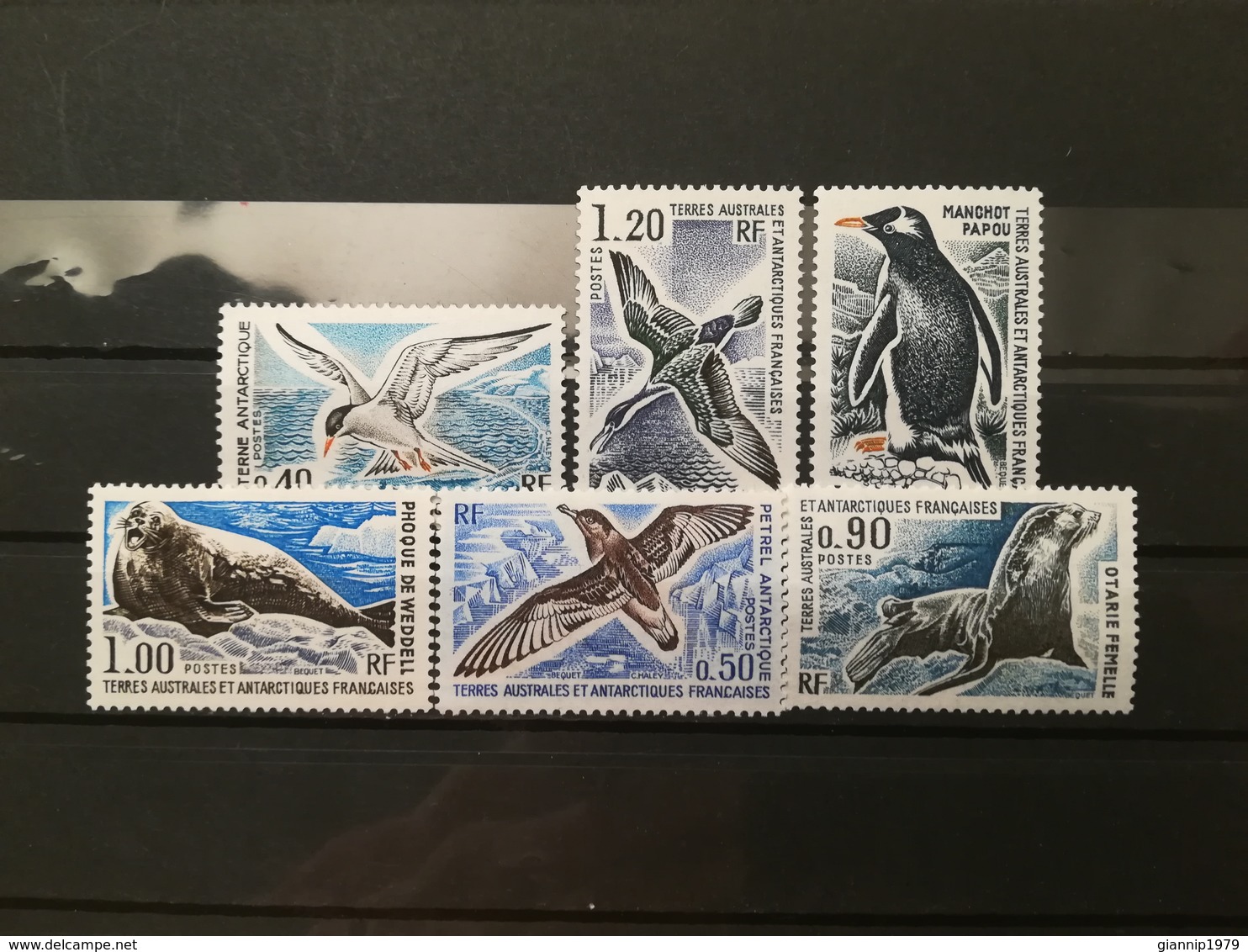 FRANCOBOLLI STAMPS TERRITORI AUSTRALI ANTARTICI TAAF TERRES ANTARCTIQUES 1976 MNH** NUOVI SERIE COMPLETA ANIMALI ANIMALS - Nuovi