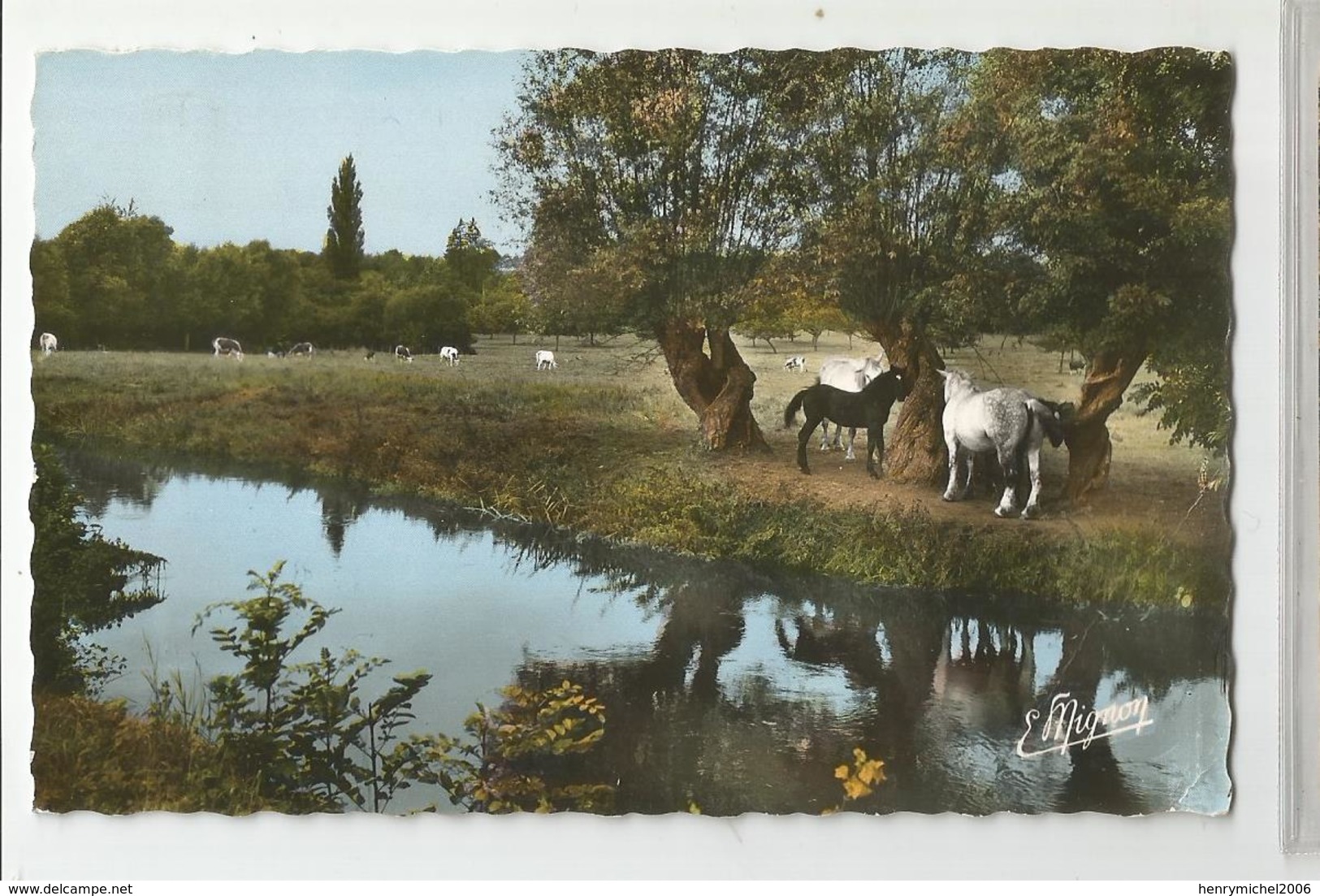 28 Eure Et Loir Nogent Le Rotrou Et Remard 61 Orne Bords De L'huisne Aux Env , Elevage Au Perche Chevaux - Nogent Le Rotrou