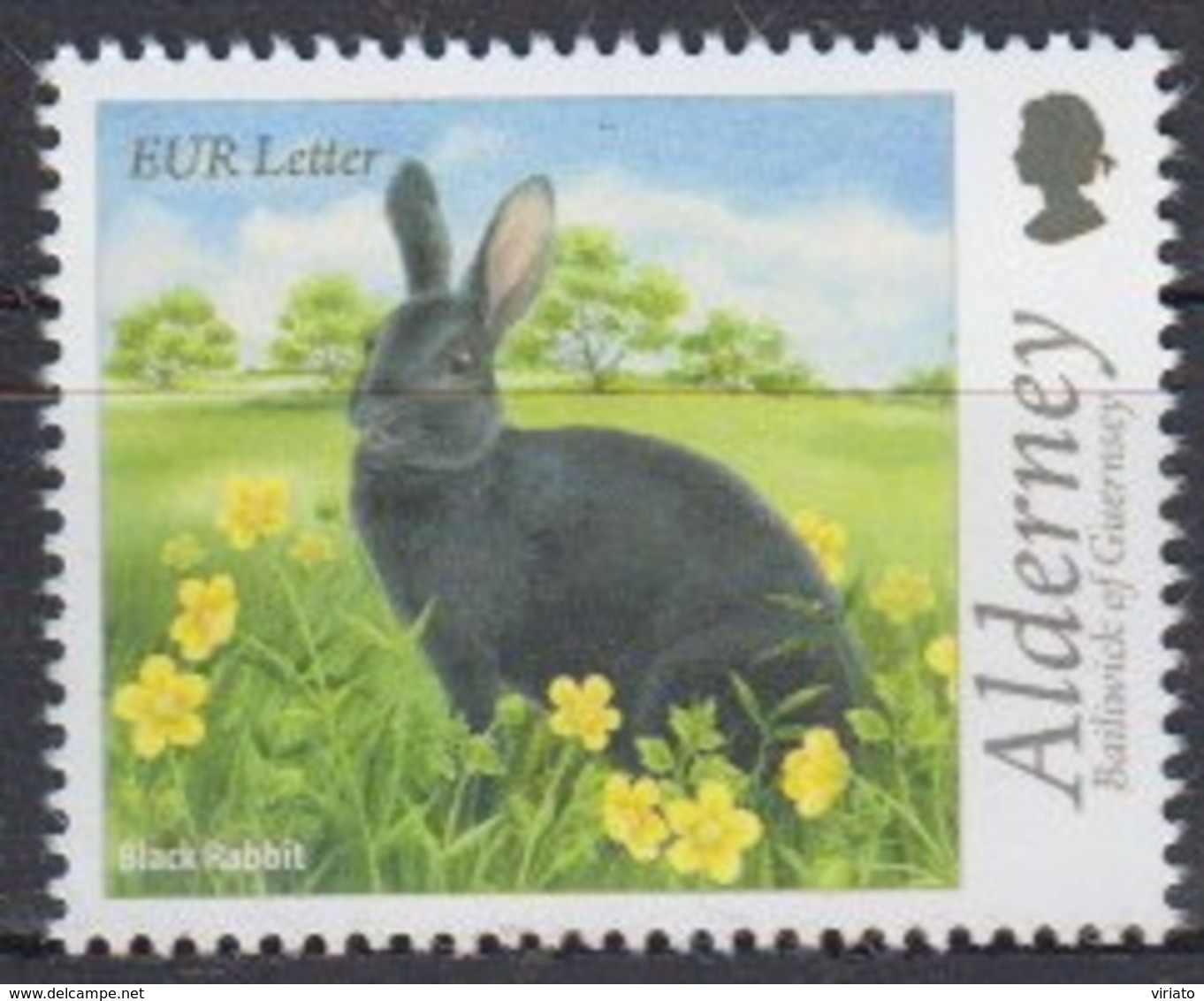 Alderney 2015 (Mi 529) (MNH) - Black Rabbit (Oryctolagus Cuniculus Forma Domestica) - Konijnen