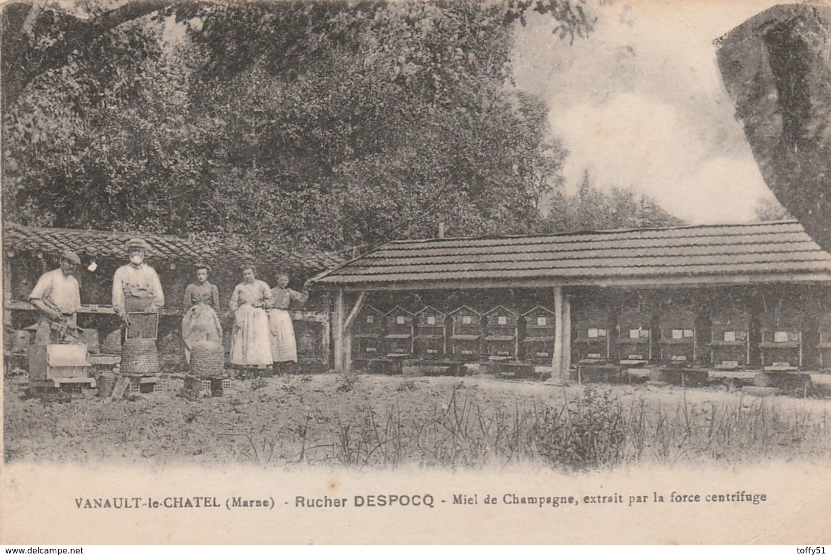 CPA:VANAULT LE CHATEL (51) APICULTEUR RUCHER DESPOCQ MIEL DE CHAMPAGNE ANIMÉE..ÉCRITE - Autres & Non Classés