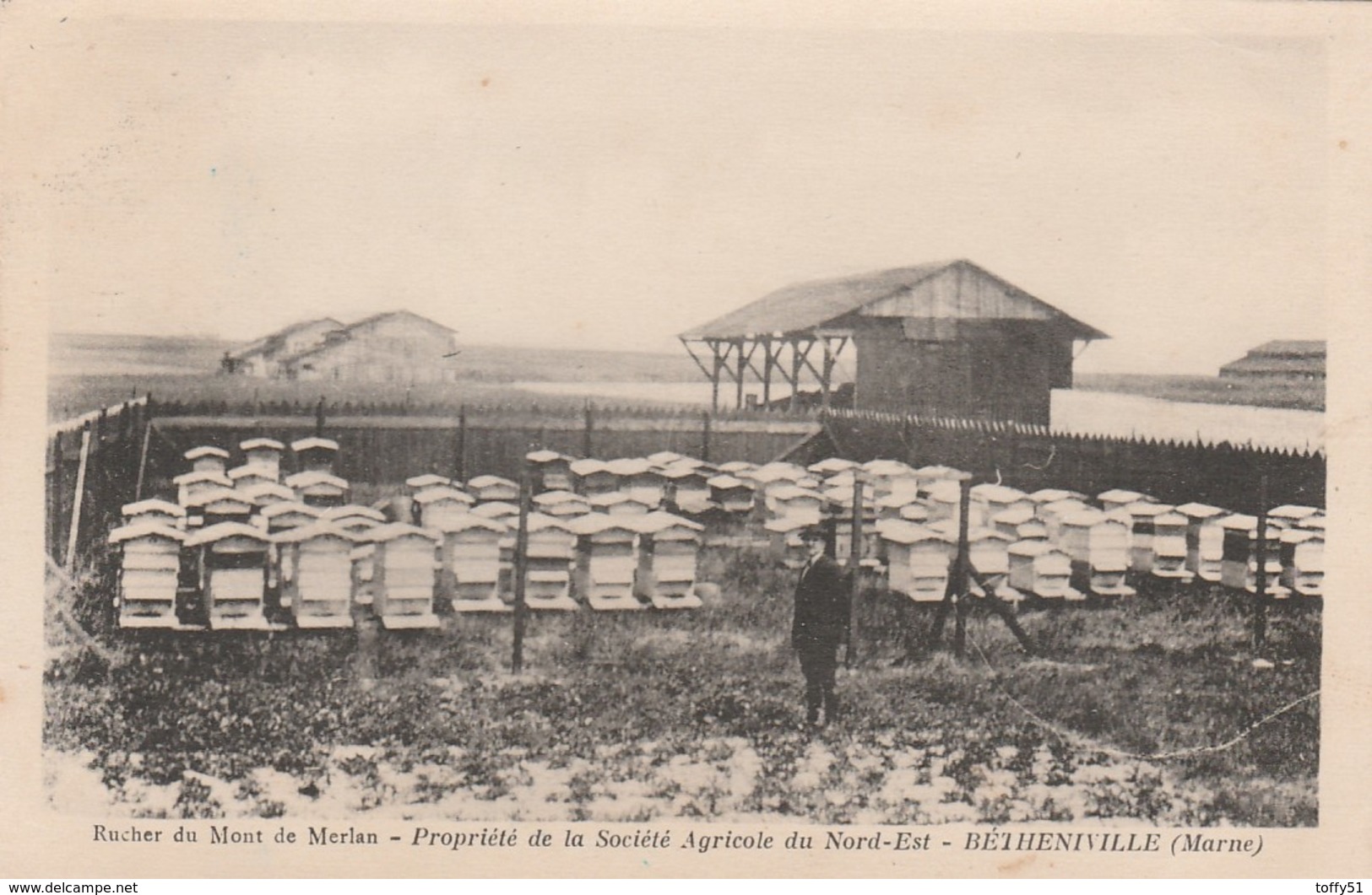 CPA:RUCHER DU MONT DE MERLAN SOCIÉTÉ AGRICOLE NORD EST BÉTHENIVILLE (51) - Bétheniville