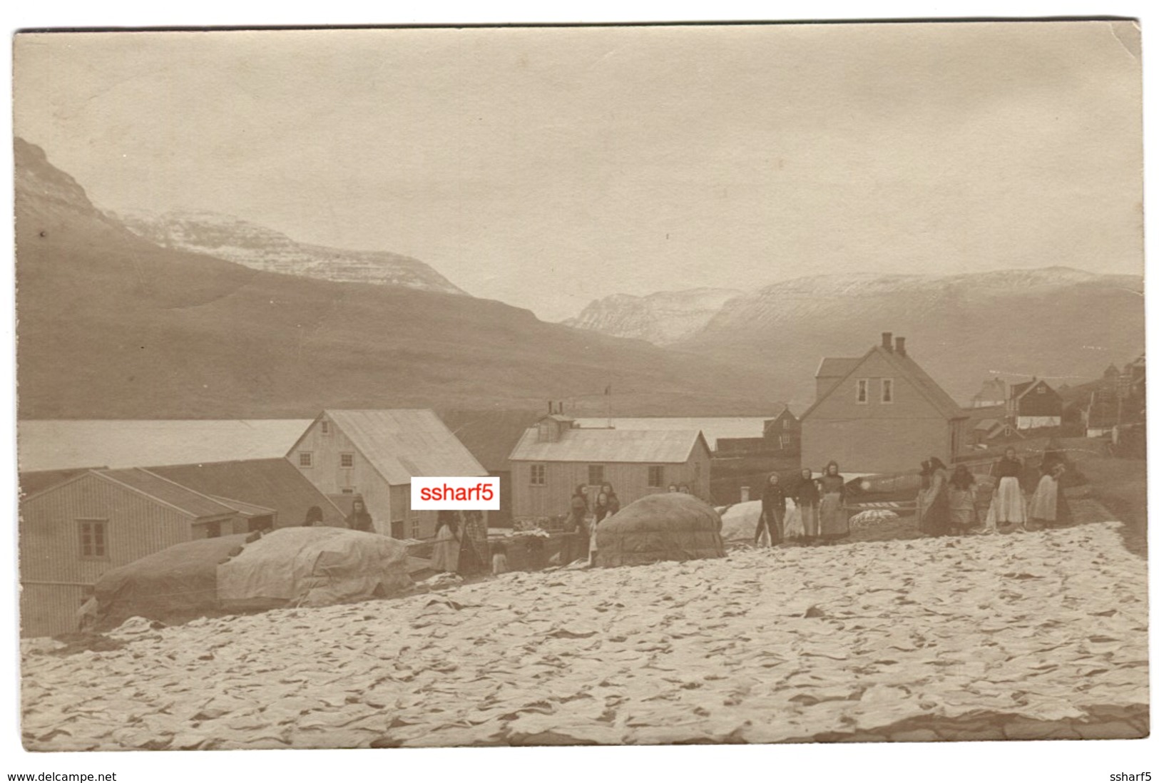 FEROES ISLANDS TRANSGISVAAG Real PHOTO POSTCARD SENT 1908 STREET LIFE - Färöer