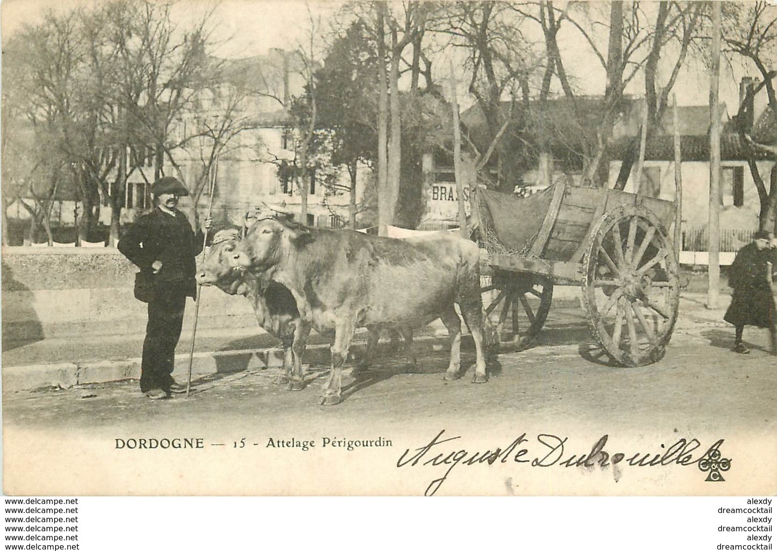 WW 24 DORDOGNE. Attelage Périgourdin 1902 - Autres & Non Classés