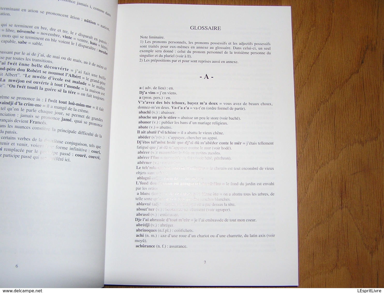 L'PATOIS D'BOUYON Le Patois De Bouillon Régionalisme Ardenne Parler Wallon Dialecte Sobriquets Expressions Wallonnie - België