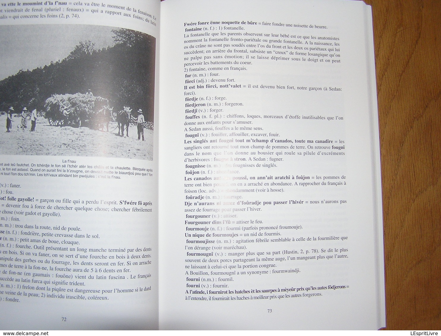 L'PATOIS D'BOUYON Le Patois de Bouillon Régionalisme Ardenne Parler Wallon Dialecte Sobriquets Expressions Wallonnie