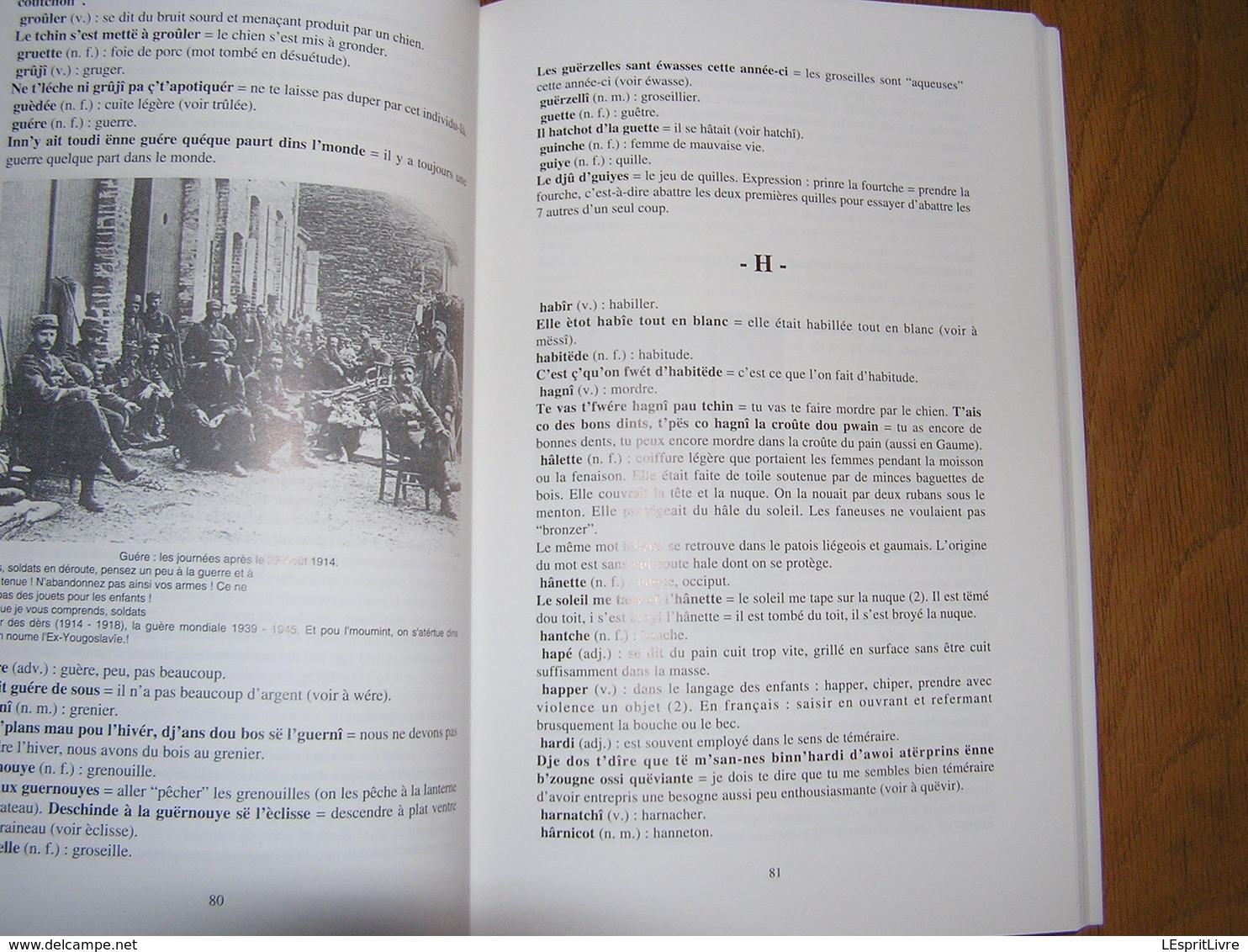 L'PATOIS D'BOUYON Le Patois de Bouillon Régionalisme Ardenne Parler Wallon Dialecte Sobriquets Expressions Wallonnie