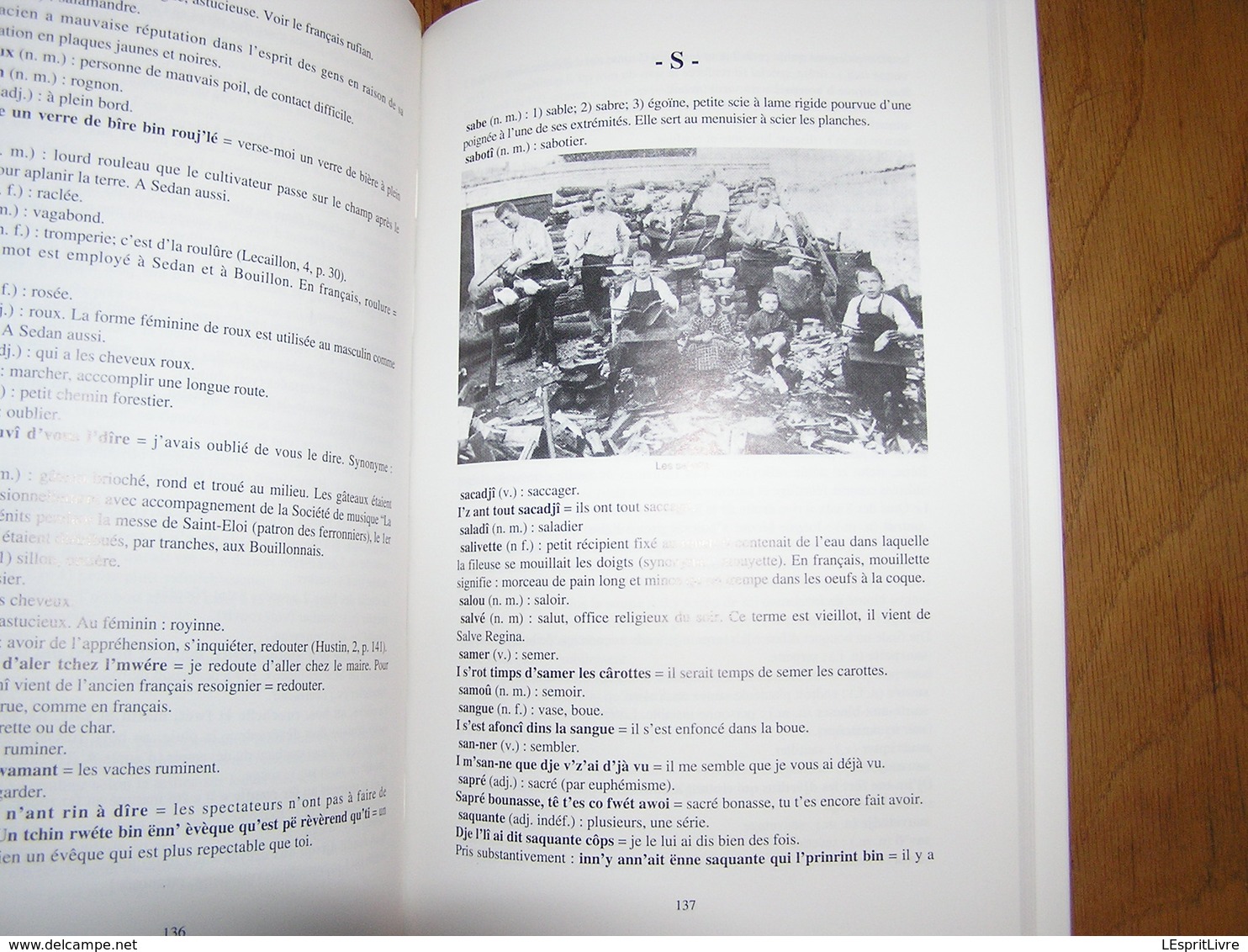 L'PATOIS D'BOUYON Le Patois de Bouillon Régionalisme Ardenne Parler Wallon Dialecte Sobriquets Expressions Wallonnie