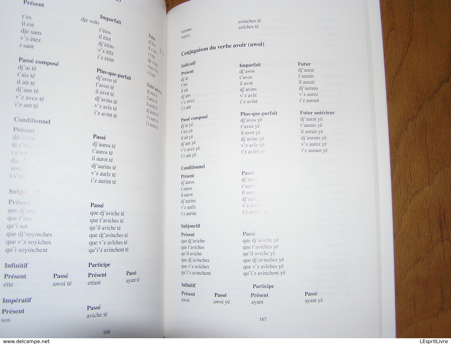 L'PATOIS D'BOUYON Le Patois de Bouillon Régionalisme Ardenne Parler Wallon Dialecte Sobriquets Expressions Wallonnie