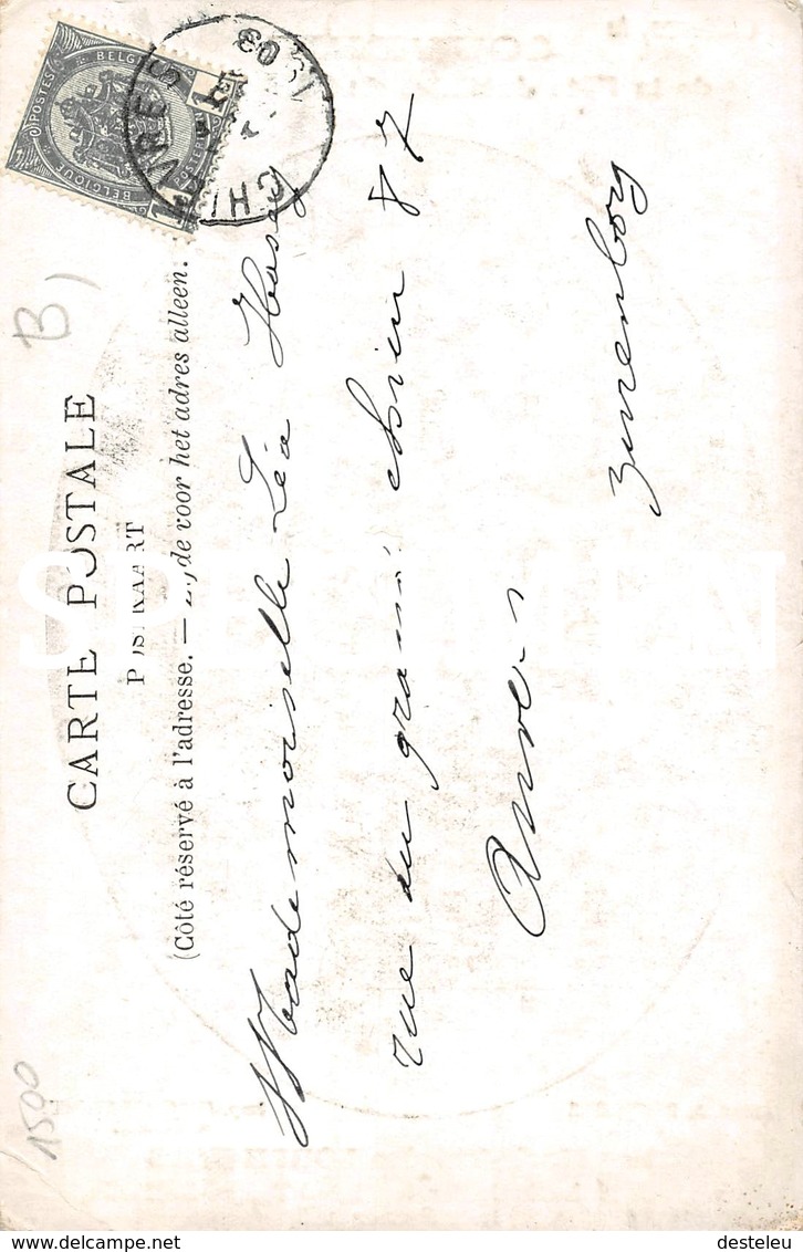 Souvenir De La Fête Jubilaire 1903 Mme Marie-Thérèse Lorphevre - Chièvres - Chievres