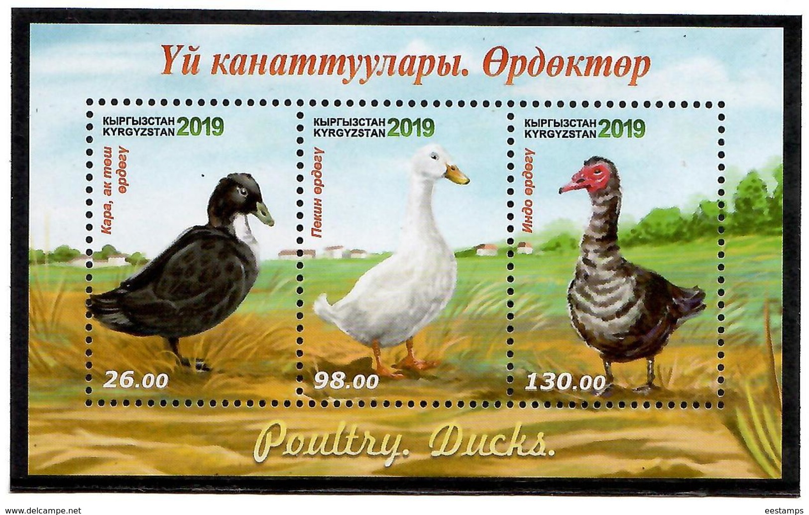 Kyrgyzstan 2019 . Birds, Ducks. S/S :26.00,98.00,130.00 - Kyrgyzstan
