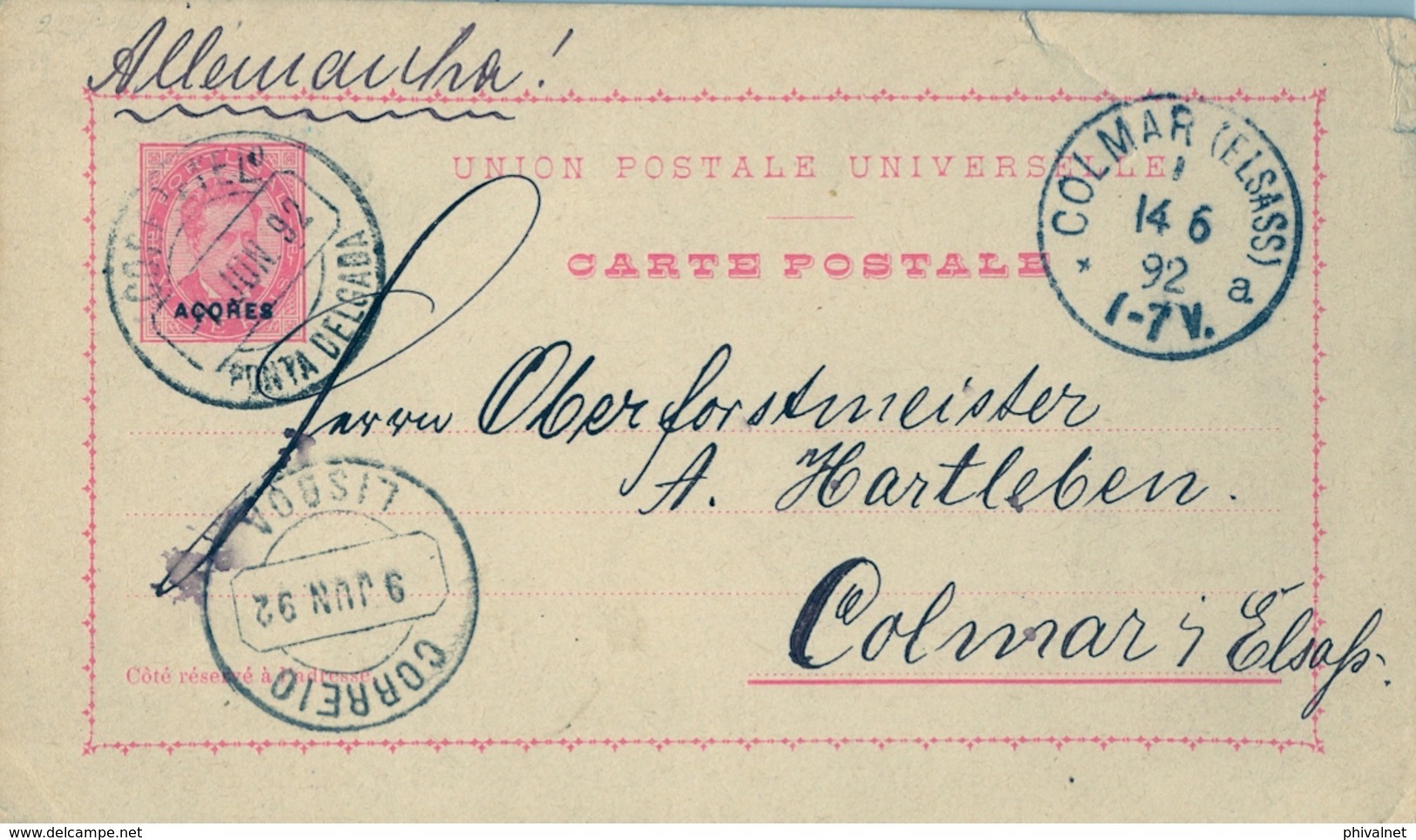 1892 , AZORES , PONTA DELGADA - COLMAR , ENTER POSTAL CIRCULADO , TRÁNSITO , LLEGADA - Ponta Delgada