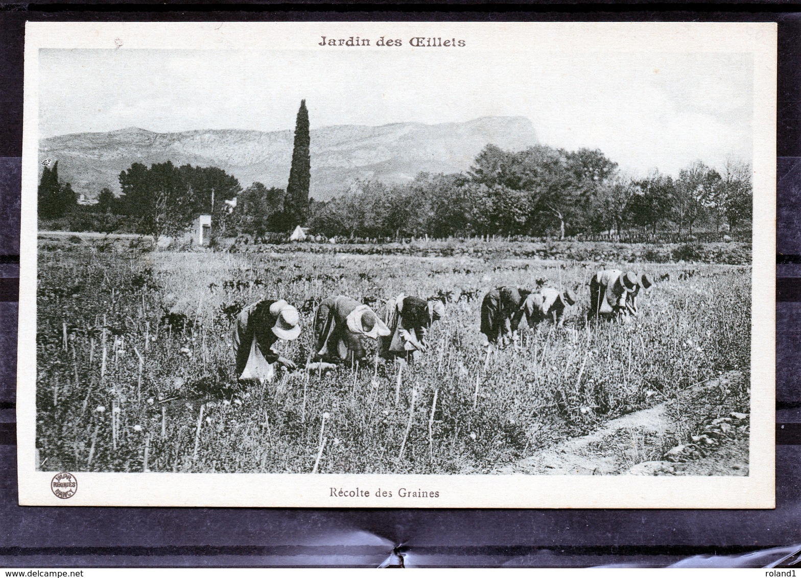 Toulon - Jardin Des Oeillets - Toulon