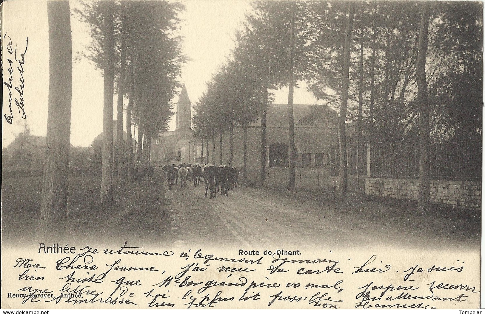 ANTHEE - Route De Dinant 1904 (Onhaye) - Onhaye