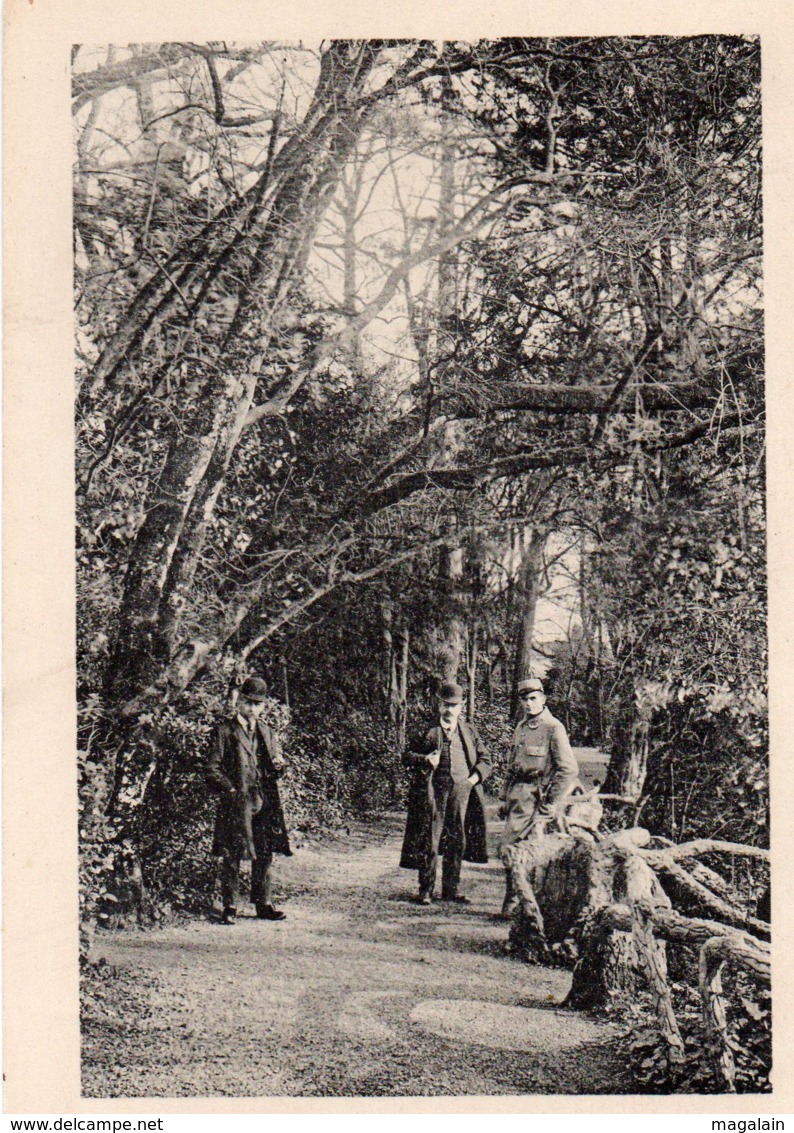 Luçon : Une Allée Du Jardin Dumaine - Lucon