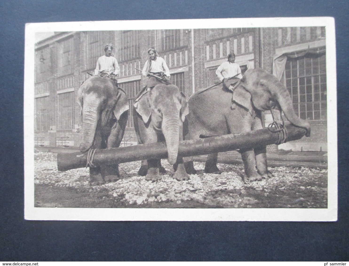 Alte AK Indische Arbeitselefanten Zur Erinnerung An Gross Raubtierschau Und Circus Willy Hagenbeck - Elefanten