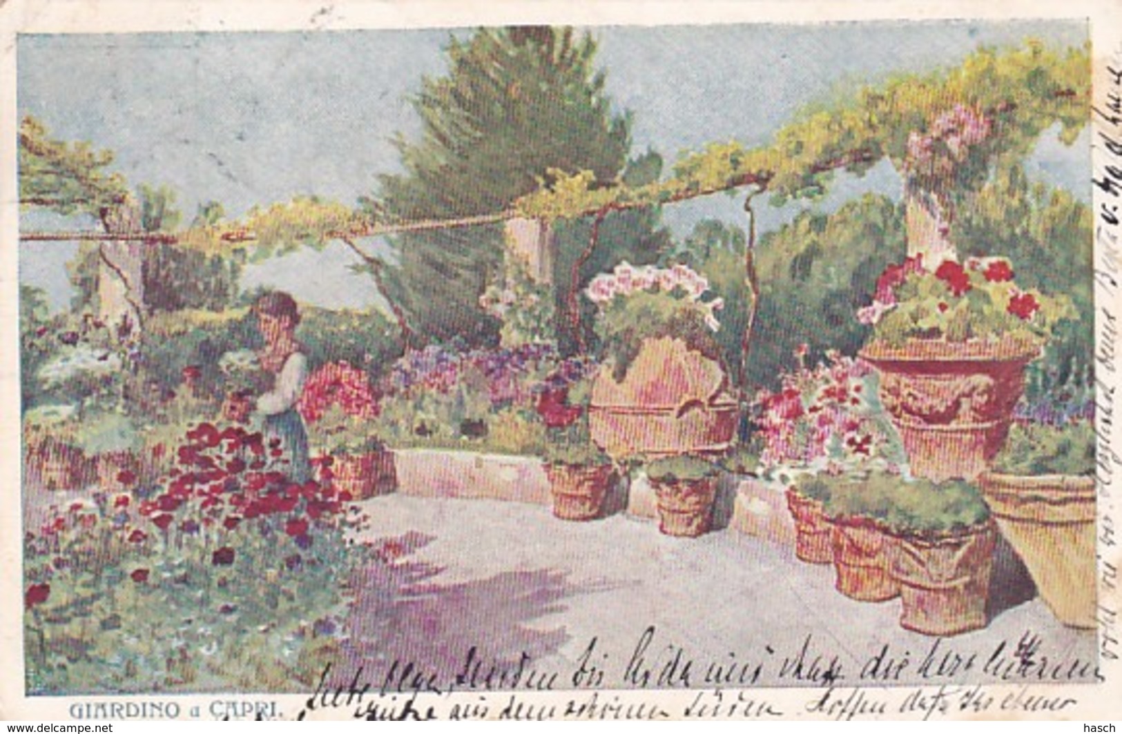 4811192Giardino A Capri. – 1905. (see Backside, See Corners) - Napoli (Naples)