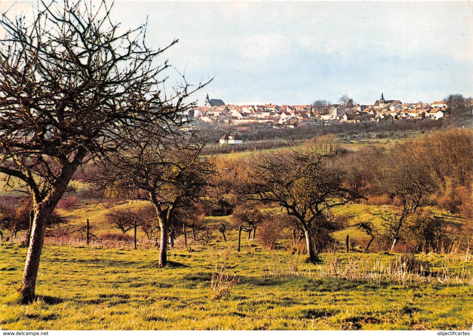 DAMMARTIN EN GOELE Capitale De L Ancienne Goele Tourne Vers Le Sud Visage Le Plus Pittoresque 19(scan Recto-verso) MA965 - Autres & Non Classés