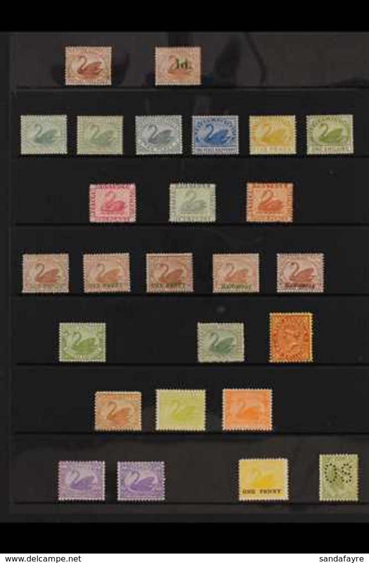 WESTERN AUSTRALIA  1882-1912 VERY FINE MINT COLLECTION Presented On A Single Stock Page That Includes An 1882-95 3d Brow - Autres & Non Classés