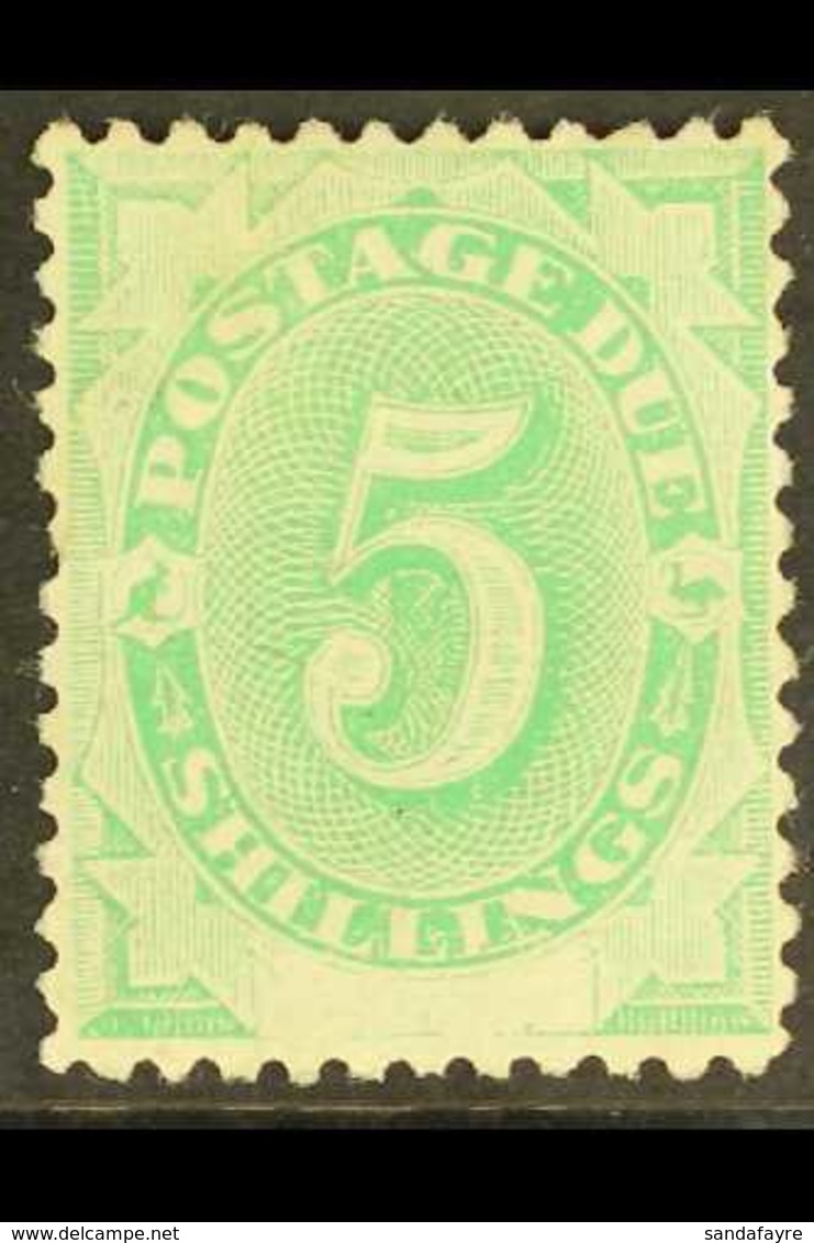 POSTAGE DUES  1902 5s Emerald Green, White Space At Foot, SG D8, Very Fine Mint. For More Images, Please Visit Http://ww - Autres & Non Classés