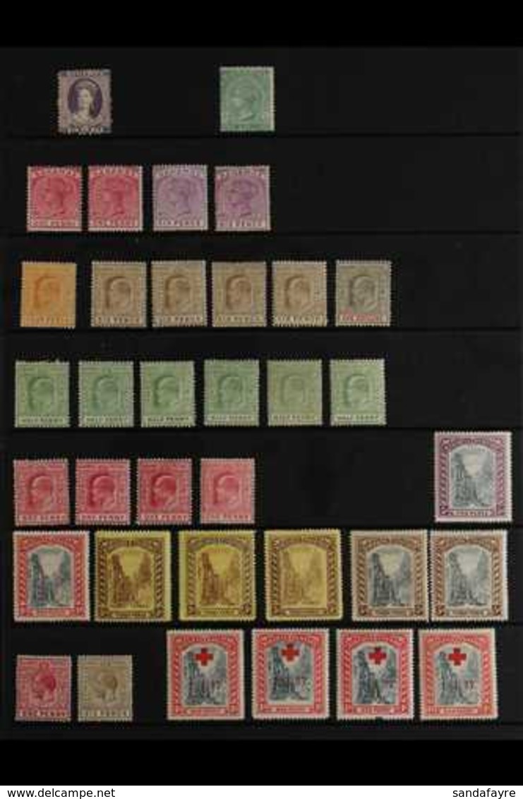 1863-1935 MINT ACCUMULATION  Presented On Stock Pages & Includes 1863-77 Perf 12½  6d & CC Wmk 1s, 1884 1d X2 & 6d X2, K - Andere & Zonder Classificatie
