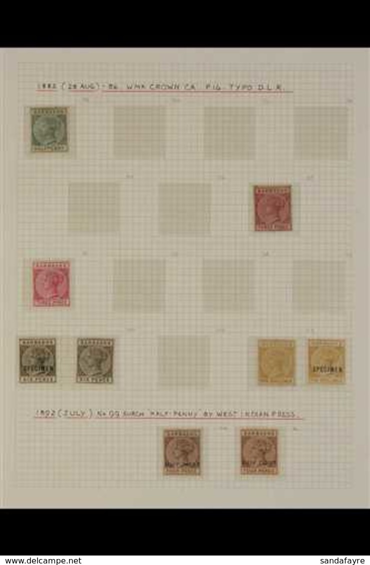 1882 - 1952 FRESH MINT COLLECTION  Attractive Mint Only Collection Written Up On Pages With Many Complete Sets And Bette - Barbades (...-1966)