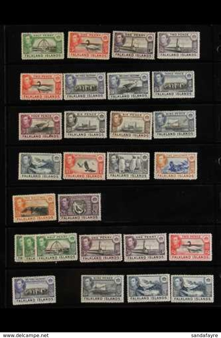 1891-1990 INTERESTING MINT & NEVER HINGED MINT RANGES  On Stock Pages, Includes 1891-1902 To 2½d, 1904-12 To 1s, 1912-20 - Falkland